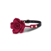 Secret Kisses Rosegasm Bloom Silicone Gag Gags